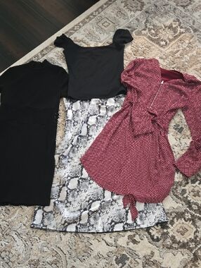 Express Dress Bundle W/ Silk Skirt & Top